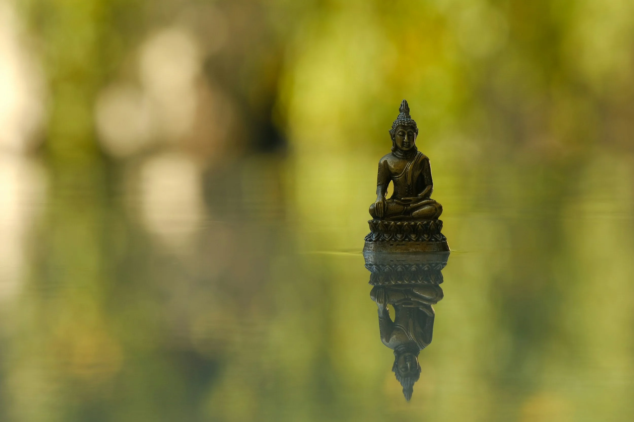 Full Moon: Single Day Fall Retreat!