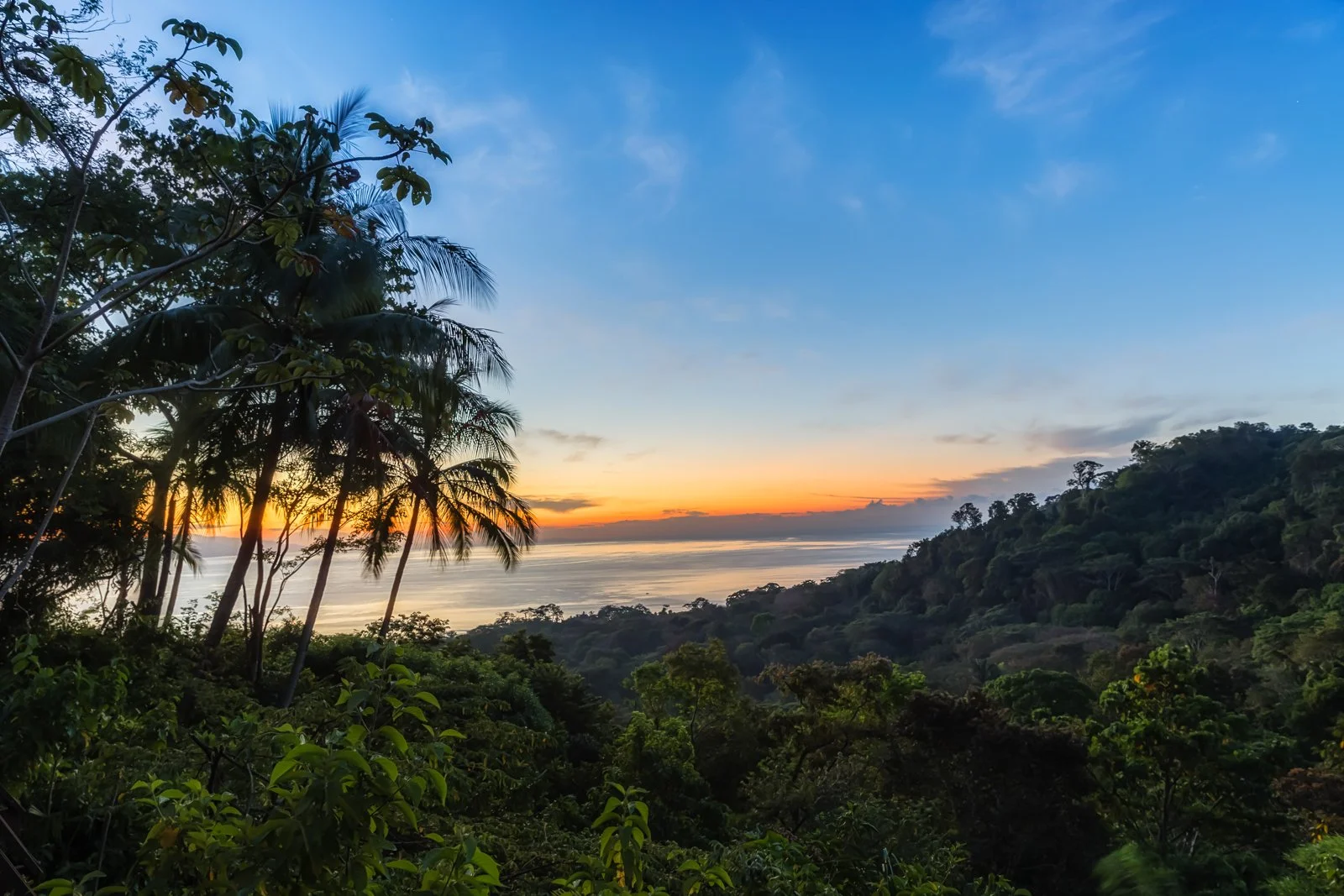 jungle-sunrise-at-lapa-rios.jpg