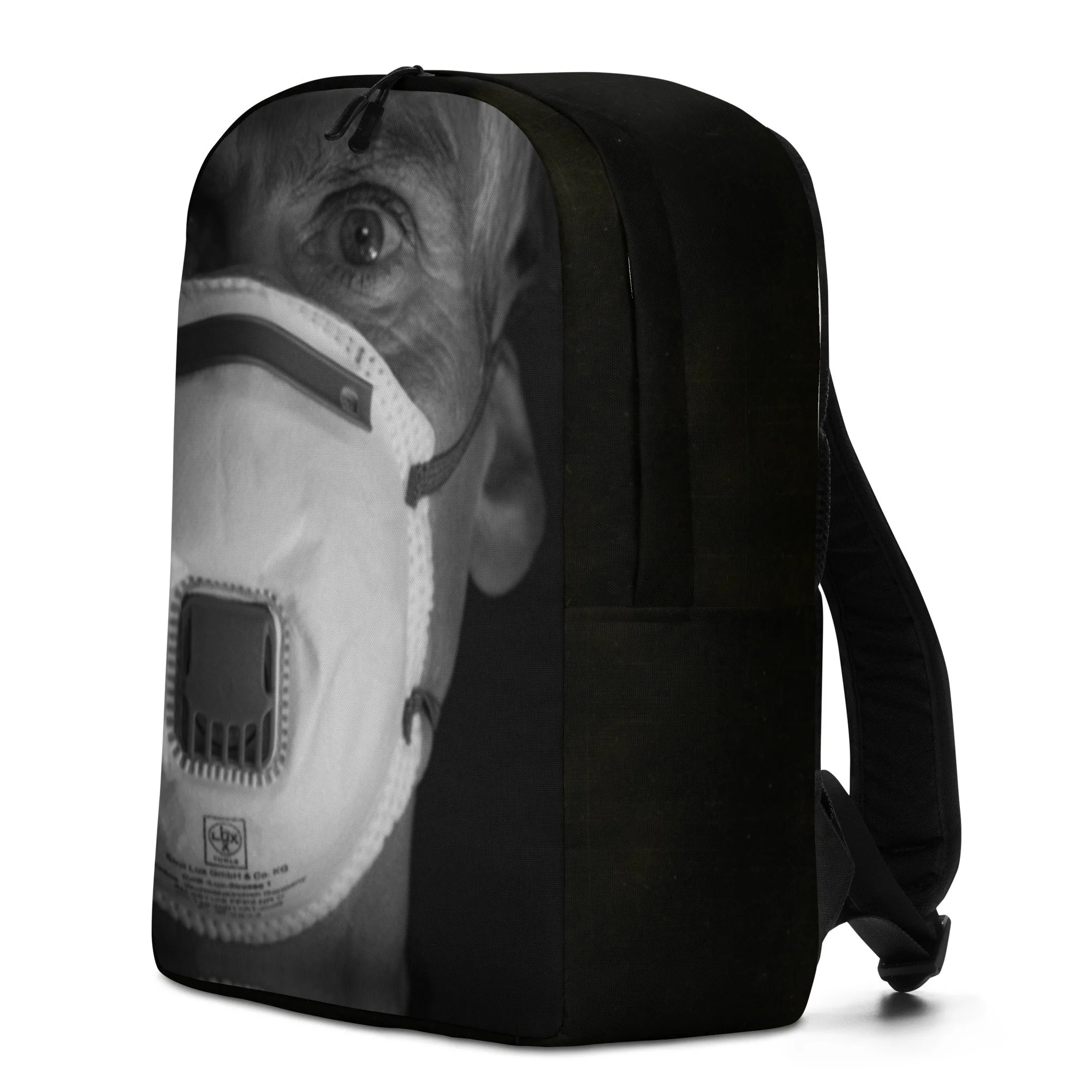 Minimalist Backpack - Backpack BuffetMinimalist BackpackBackpack Buffet
