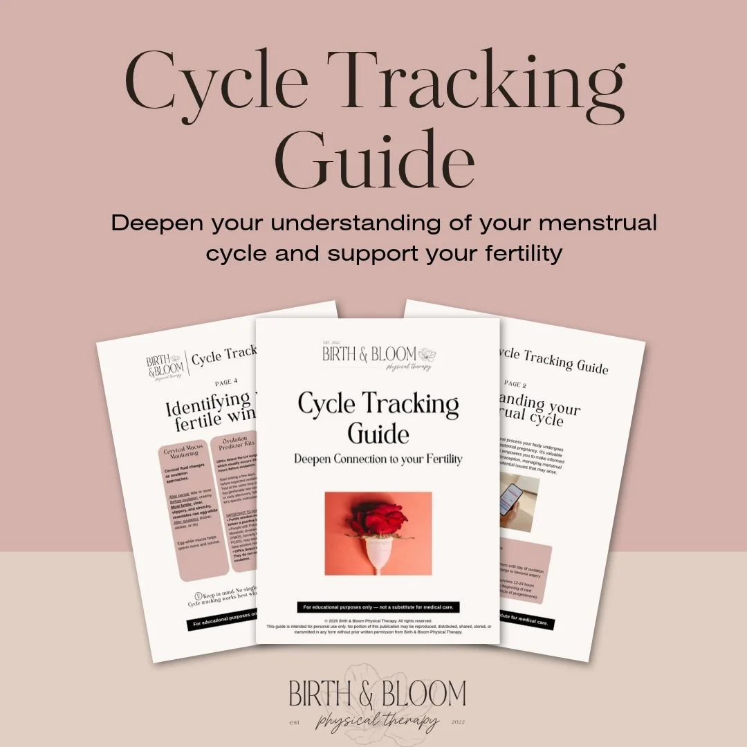 Cycle Tracking Guide View.jpg