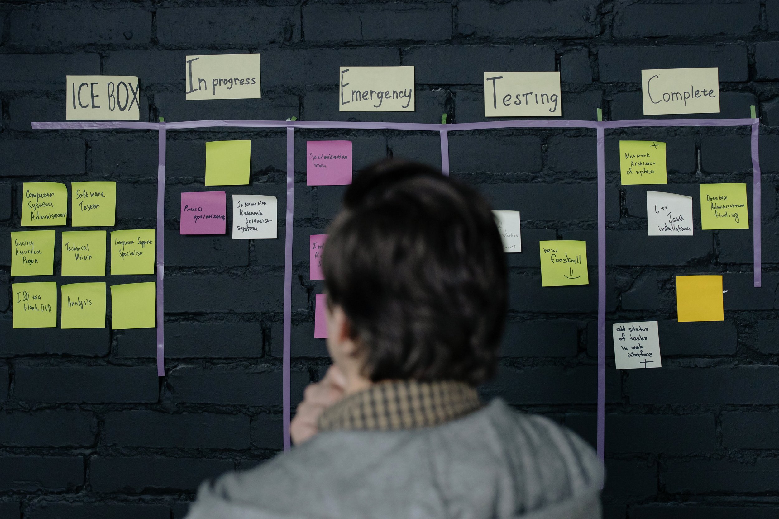 Project Management Contractor