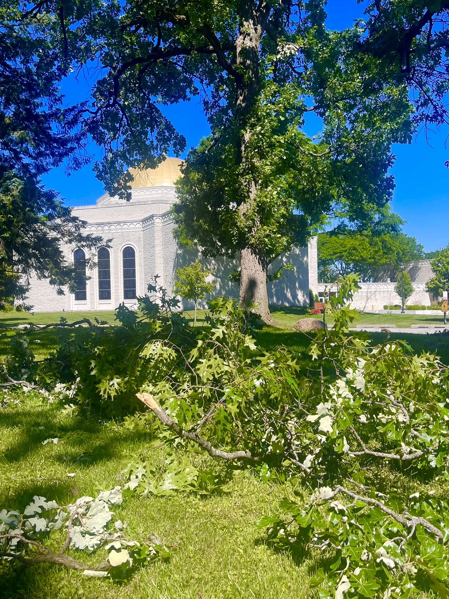 Special Appeal ~ Storm Damage