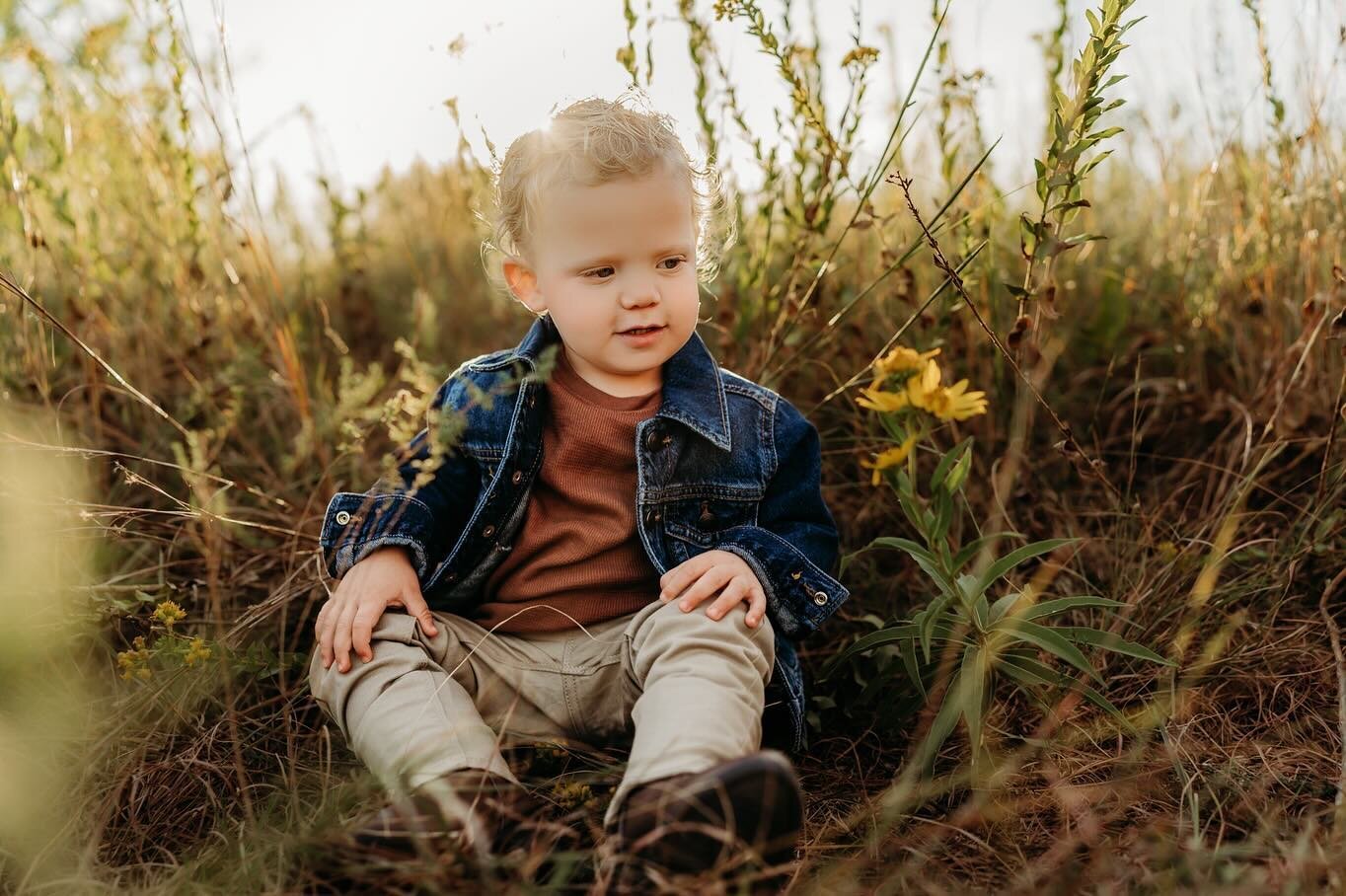 Sweet boy Rip admired the flowers the entire session 😍 watching toddlers explore in a field and admire the beauty around them is such a blessing. #okcphotographer #okcphotography #okcfamilyphotographer #falltimephotos