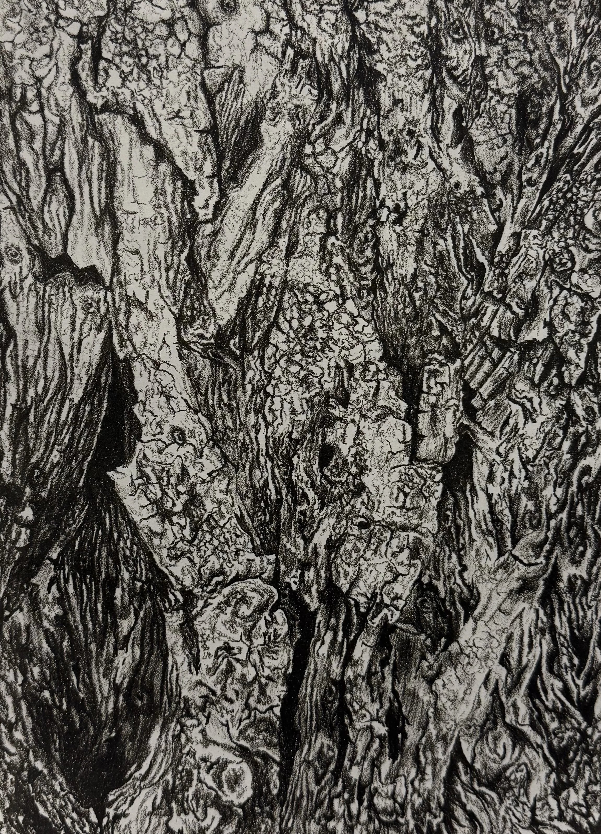 tree_lithograph.jpg