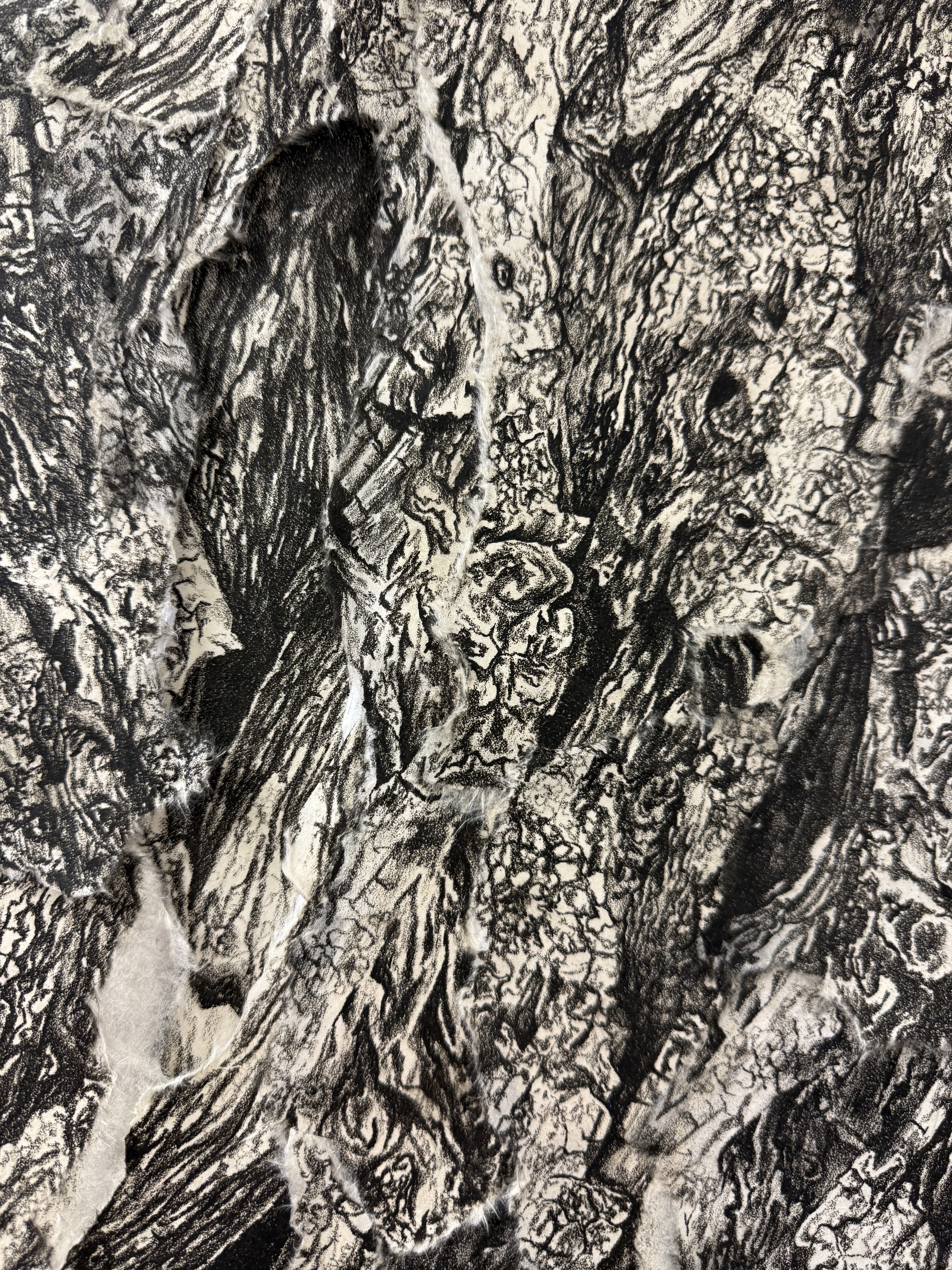 tree_detail3.jpg