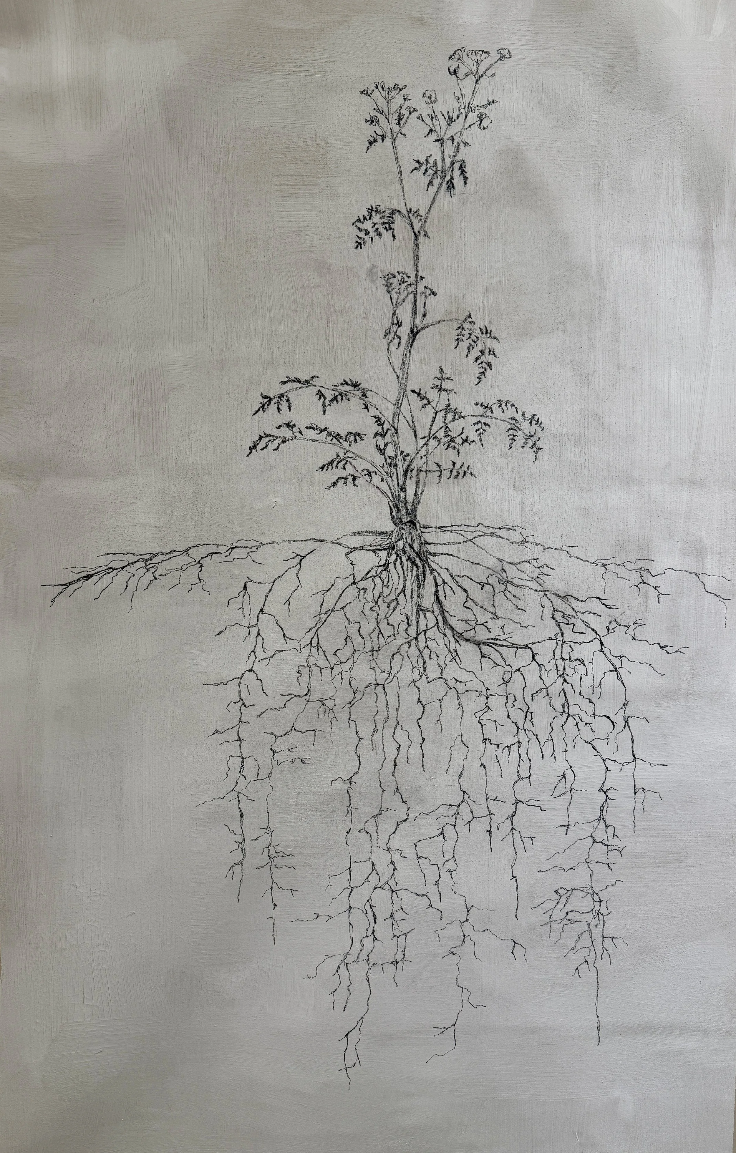 Em Koch, Undergrowth (detail), 2025