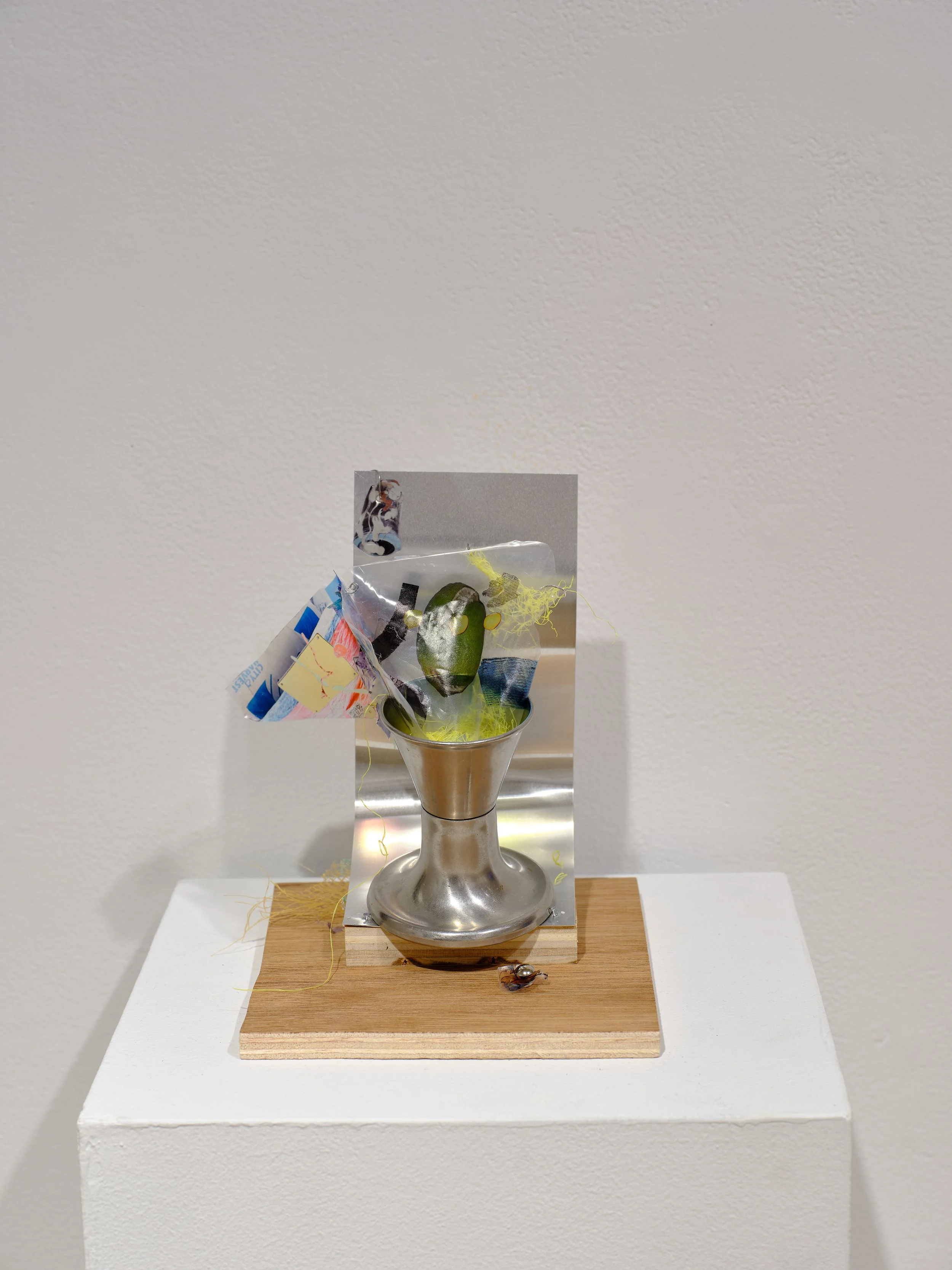 2025_07_10_Argenis_Apolinario_SVA_MFA_INSTALL_0267.jpg