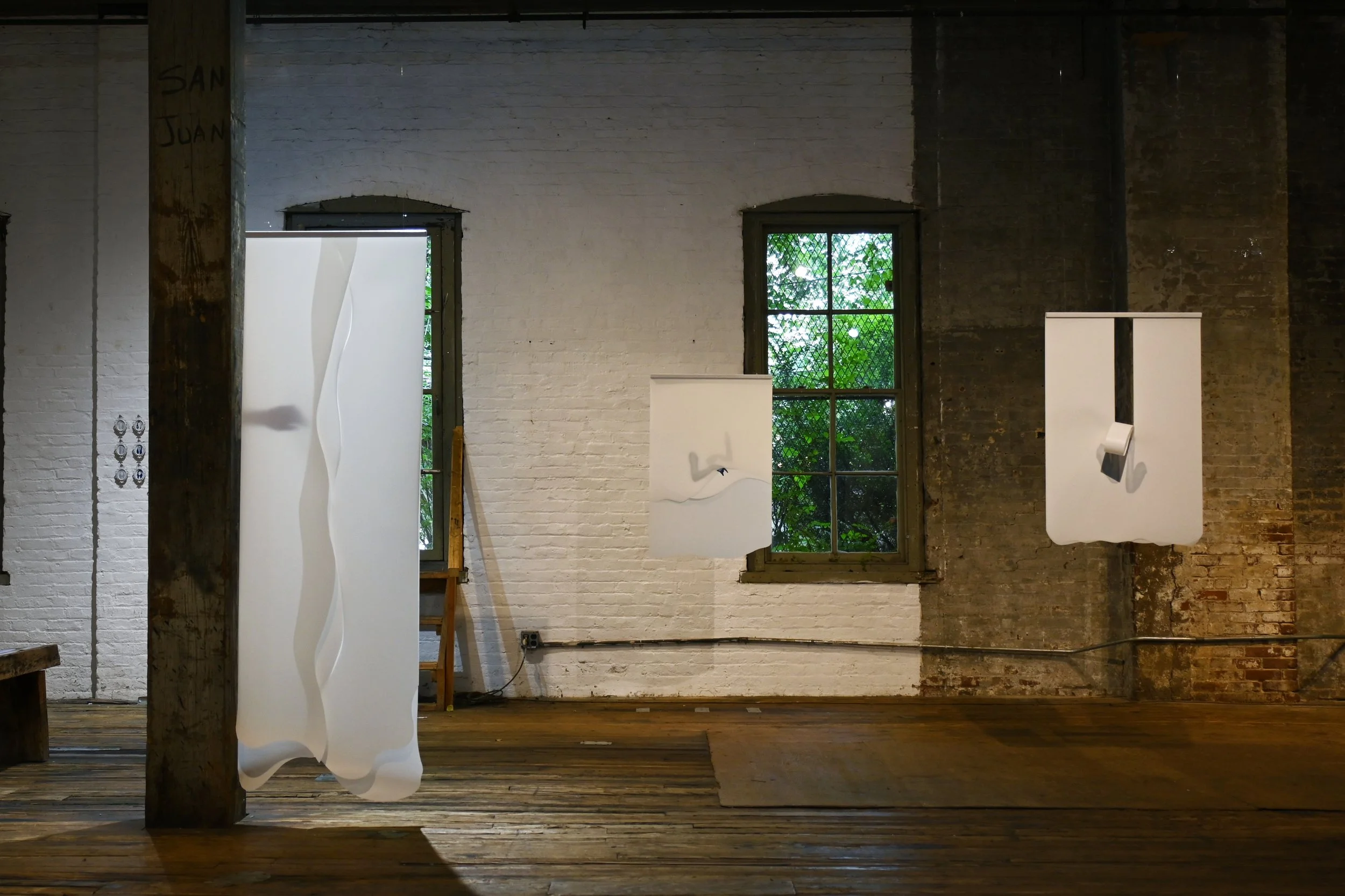 1_Heather Link-Bergman_Liminal Forms_Overview 1.jpg