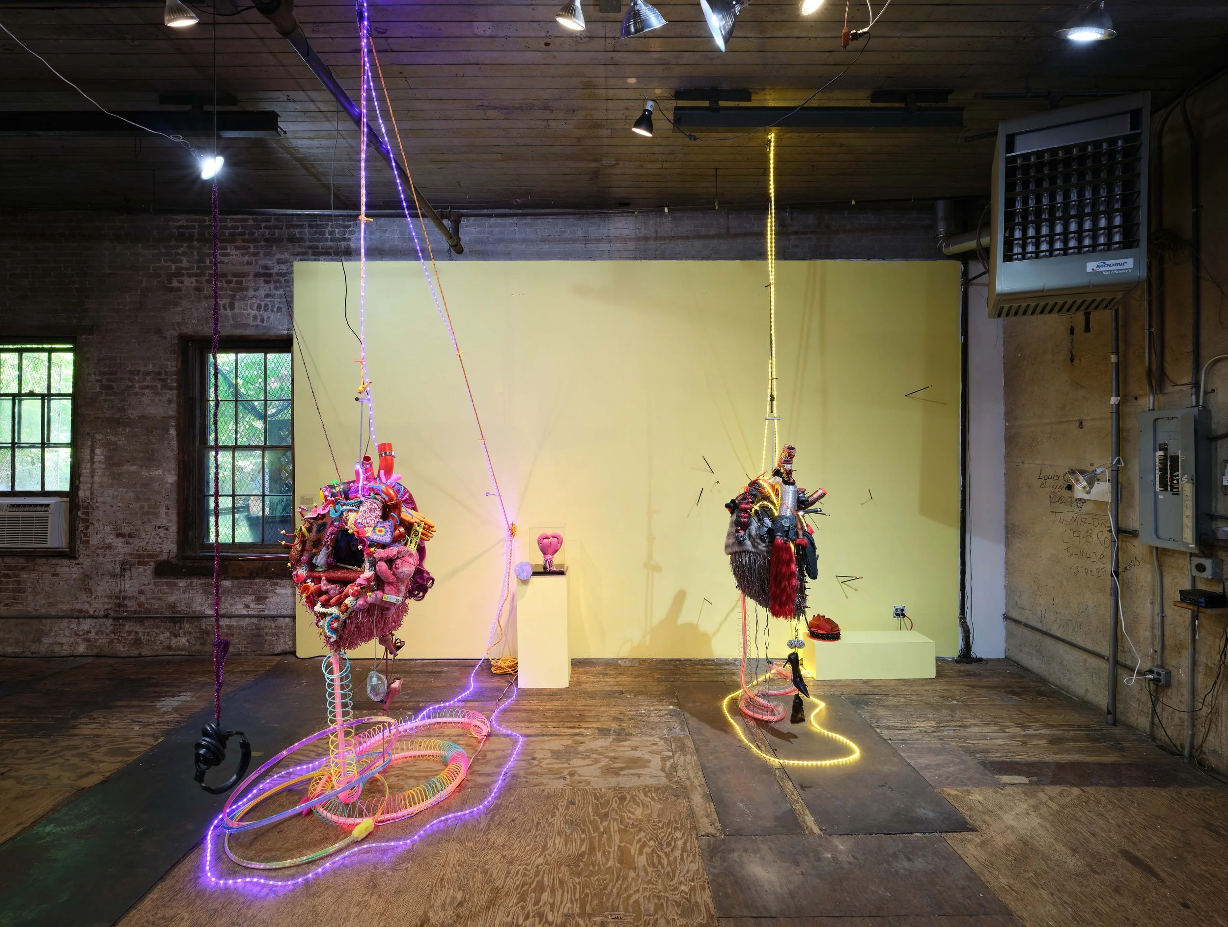 2024_06_28_Argenis_Apolinario_SVA_MFA_INSTALL_1311.jpg