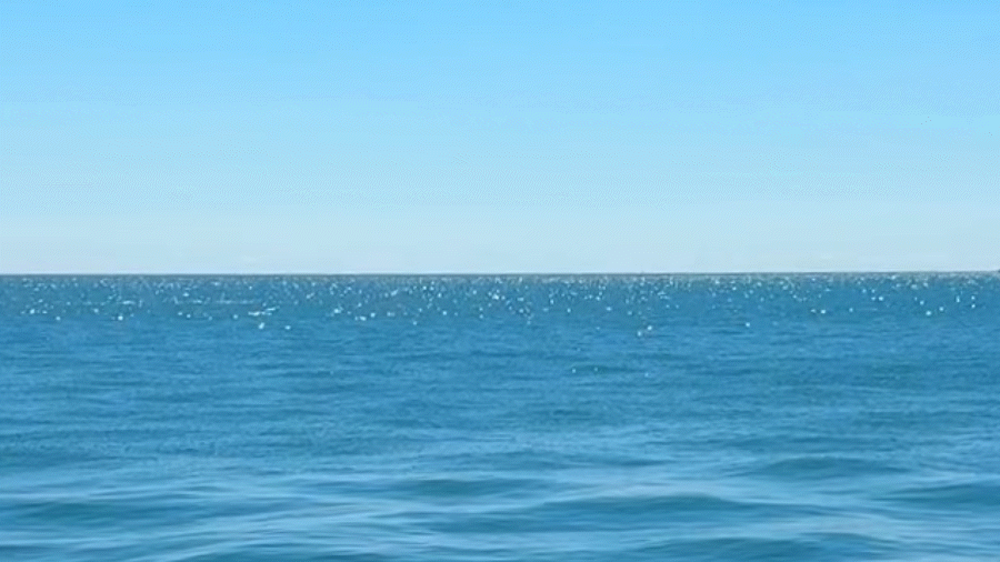 LakeMichigan.gif