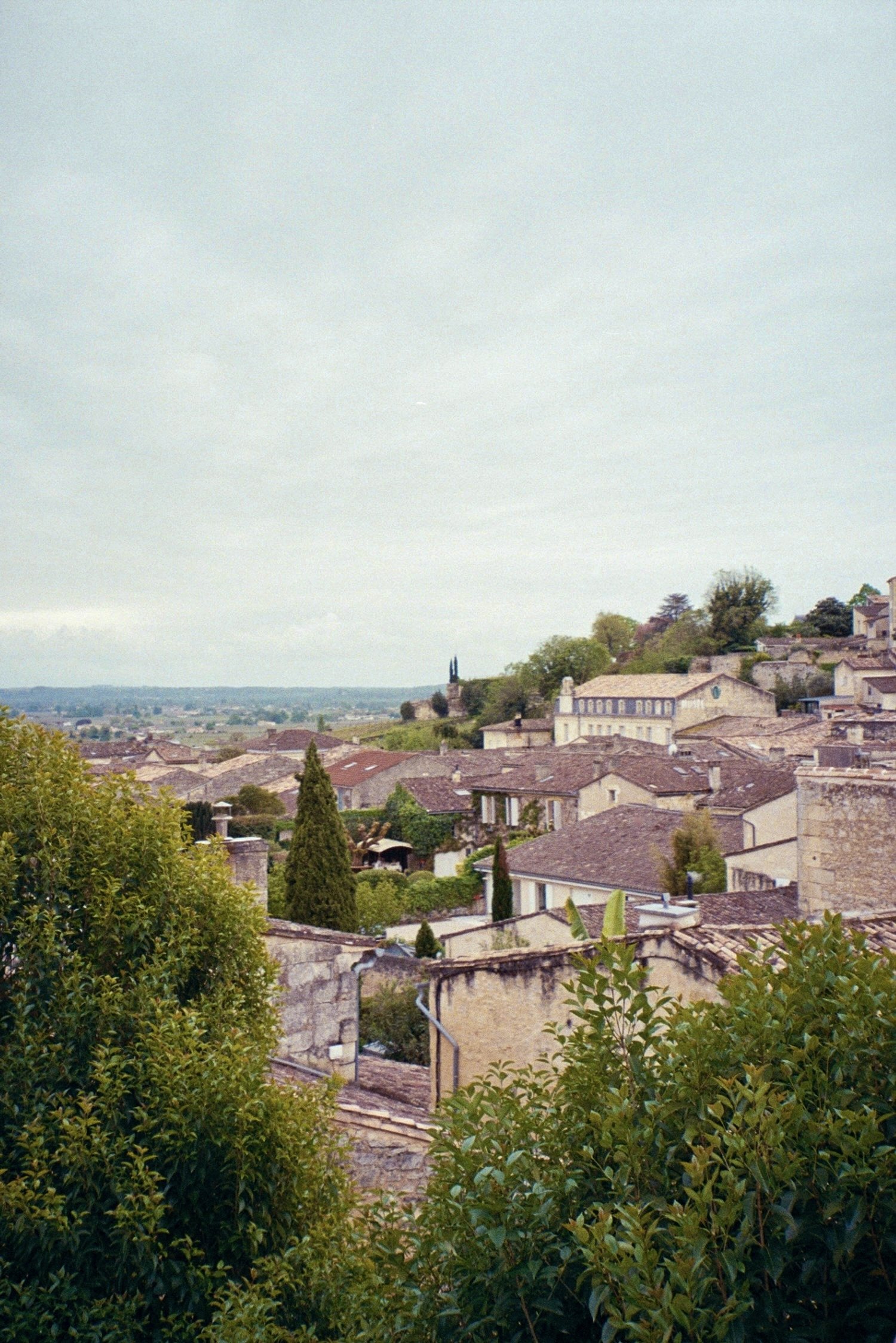 0FCBB05E-9451-40A7-B501-7F1D4E3EC5B5_1_201_a.jpeg