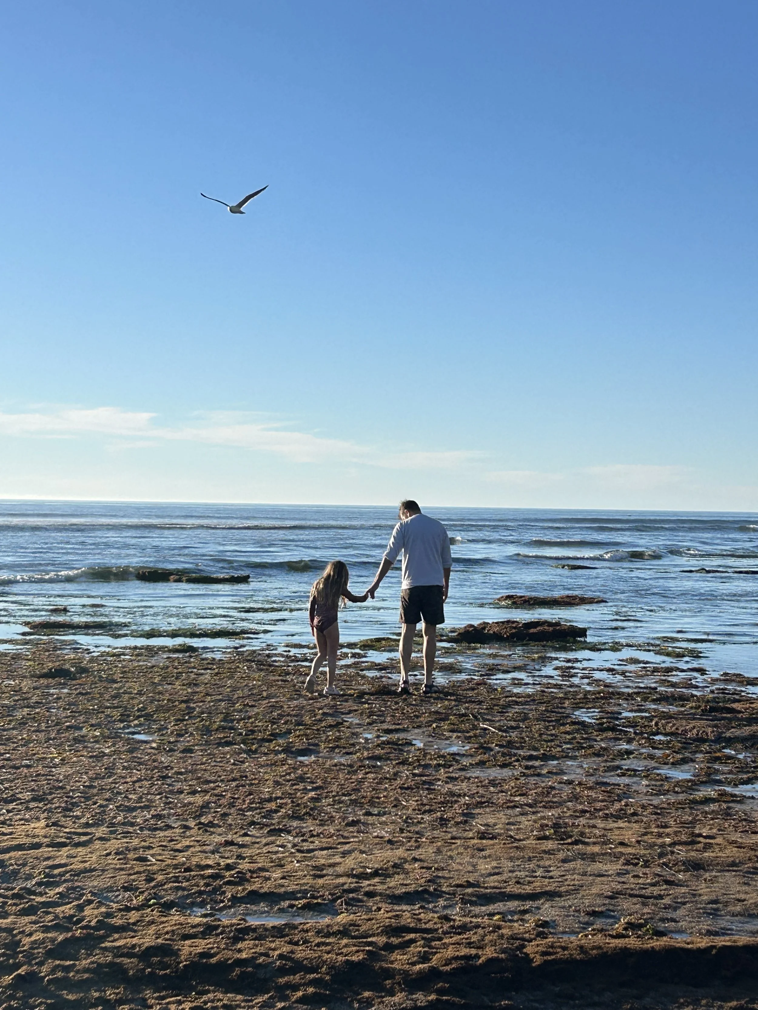 Moving to San Diego: What You Should Know Before Relocating