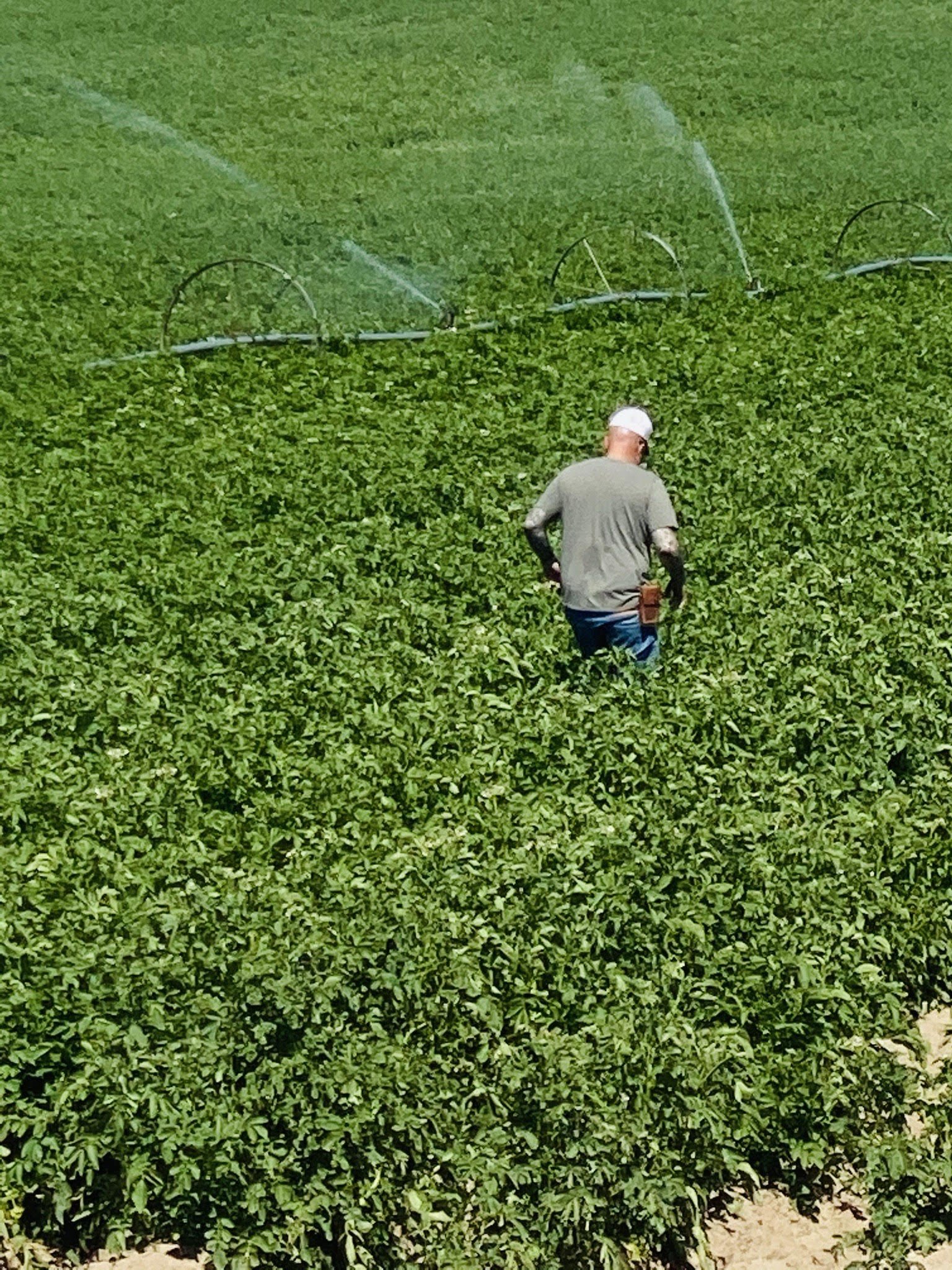 FARMPIC.jpg