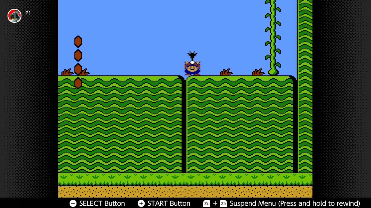 495 Words About: Onions, Bombs, Potions, and Turnips in Super Mario 2