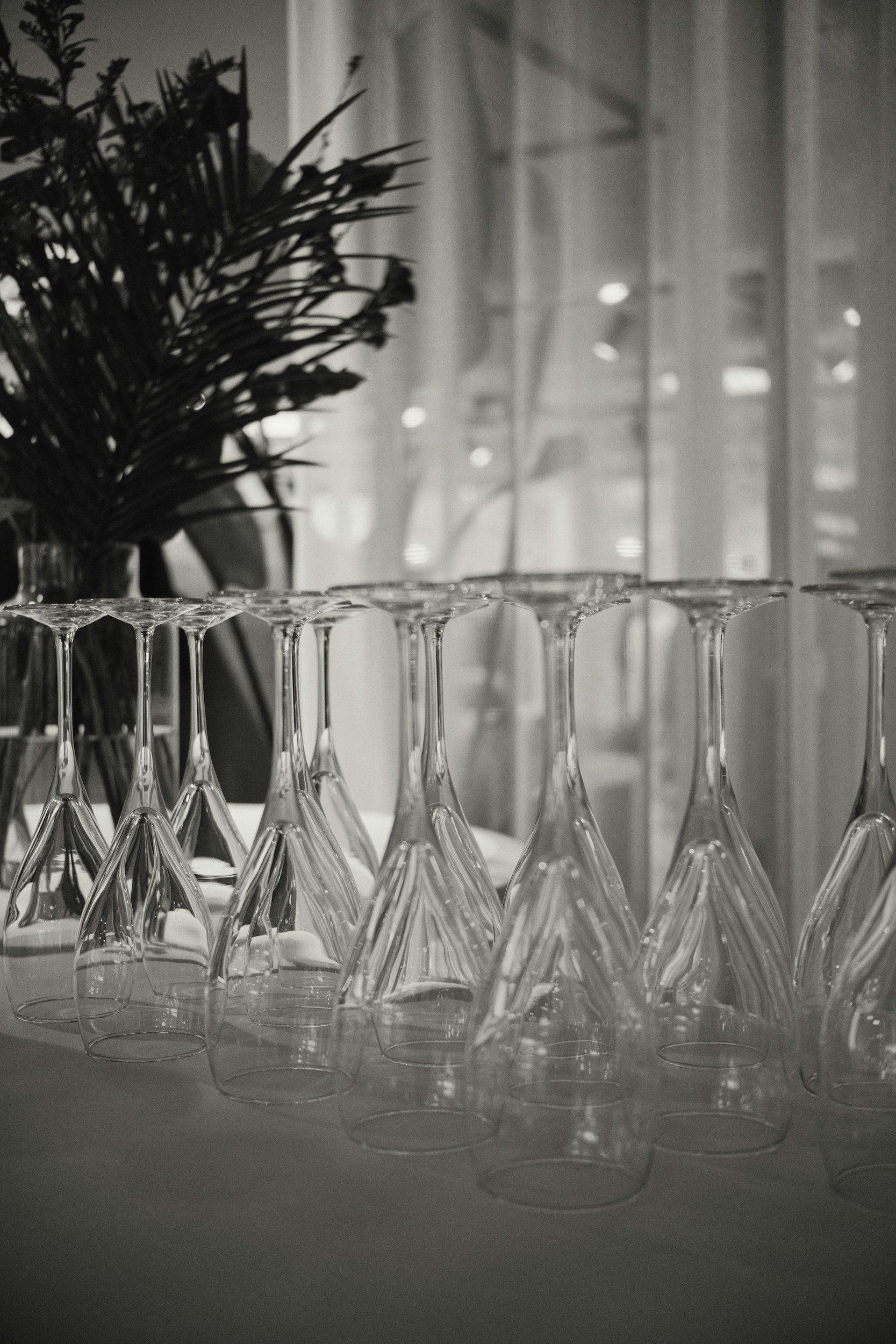 A collection of empty wine glasses placed upside down on a table, with a potted plant in the background near a window with vertical blinds.