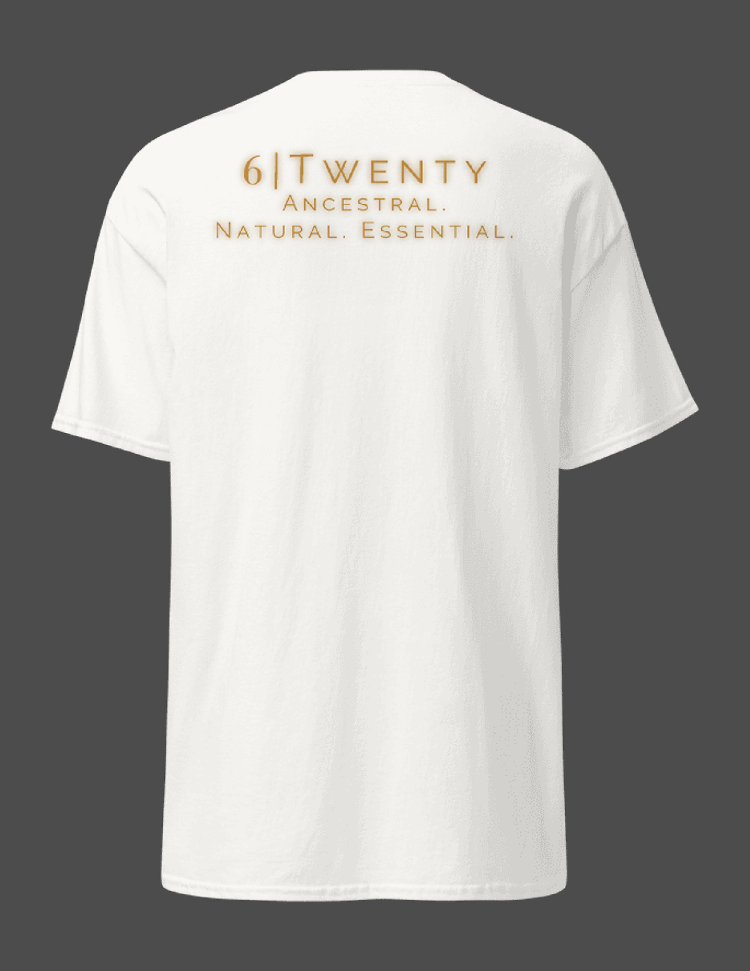 0 620 A 6Twenty T7b.jpg