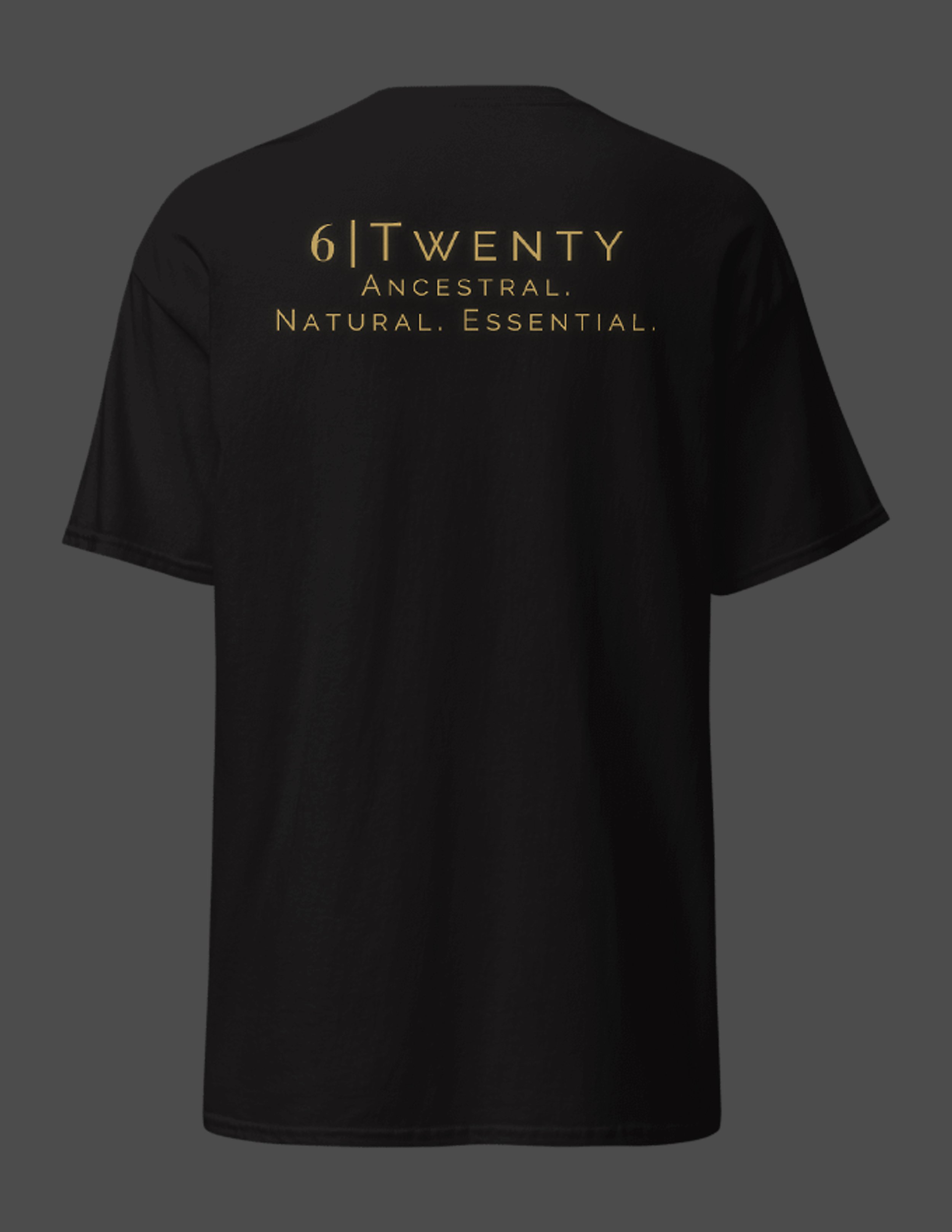 0 620 A 6Twenty T6a.jpg
