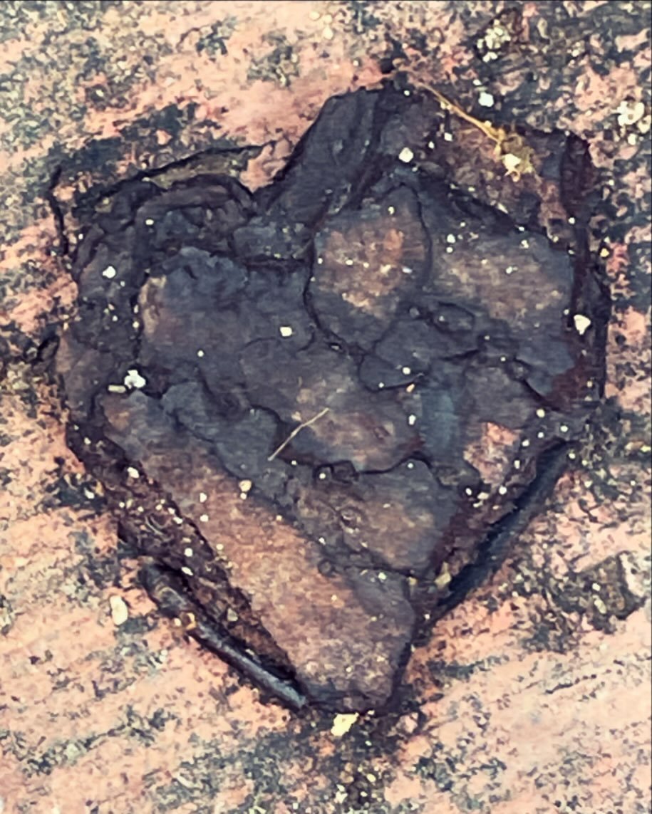 💛🧡❤️Sometimes you find love and acceptance in the most unexpected moments! - Dr Christina
.
.
.
#dr_christina #heart #love #acceptance #unexpected #moments #kindnessmatters #abundance #naturephotography #leadyourself #friendship #gooutside #photoof