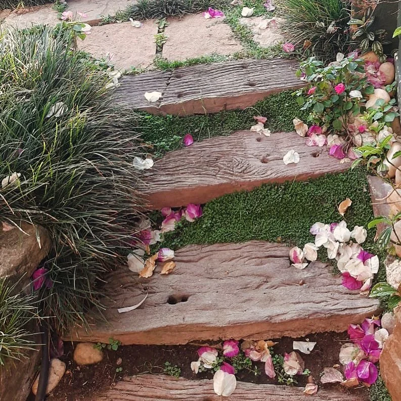 🎉🎓🎈As you step into your future, embrace gratitude, be generous in kindness, and move through life with a gracefull heart!- Dr Christina 
.
.
.
#dr_christina #steps #blossoms #bougainvillea #naturephotography #naturelover #makemesmile #selfleaders