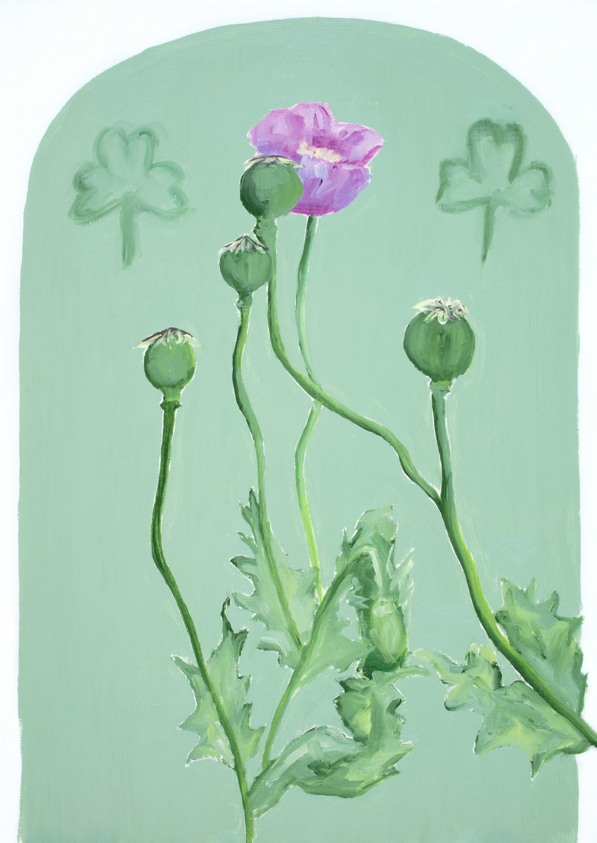 Yasmina's Poppies. Oil on Paper, 2024