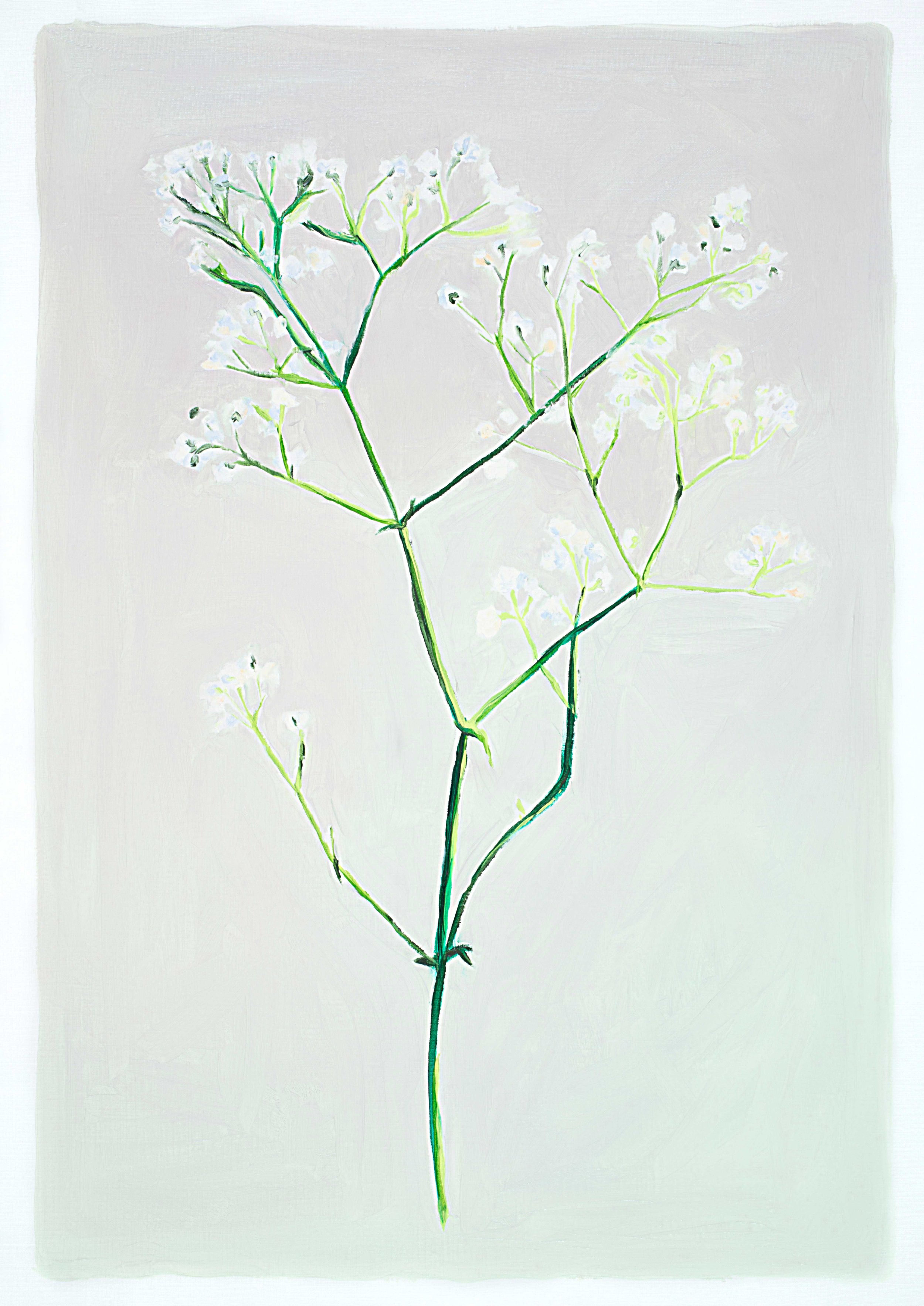 Baby's Breath. Oil on Paper, 2023