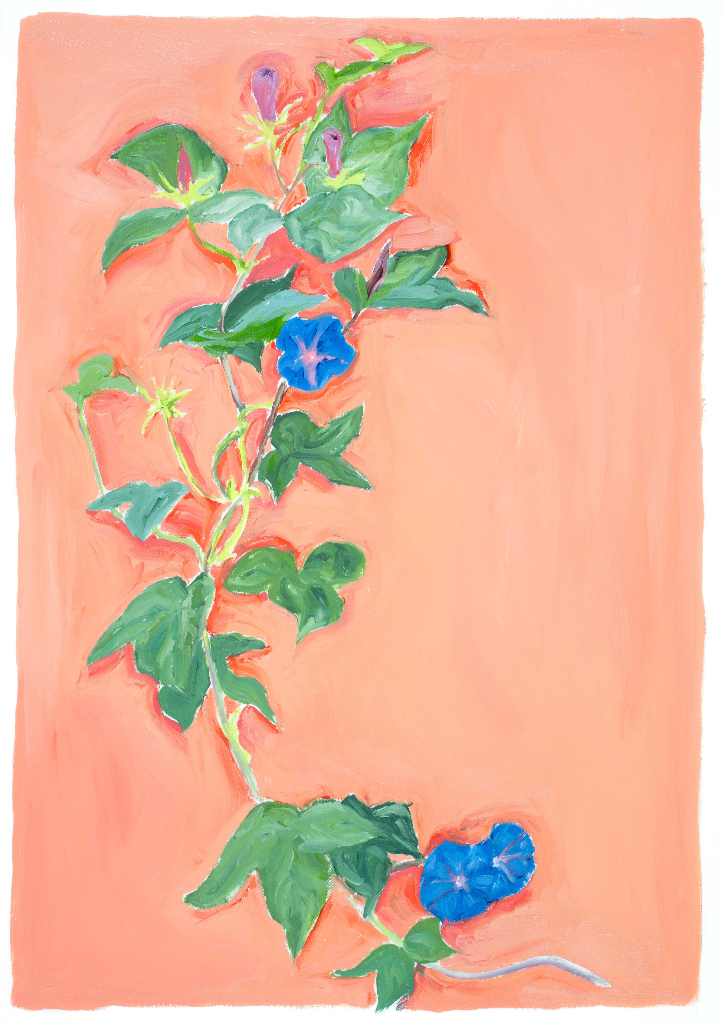 Morning Glory. Oil on Paper, 2023
