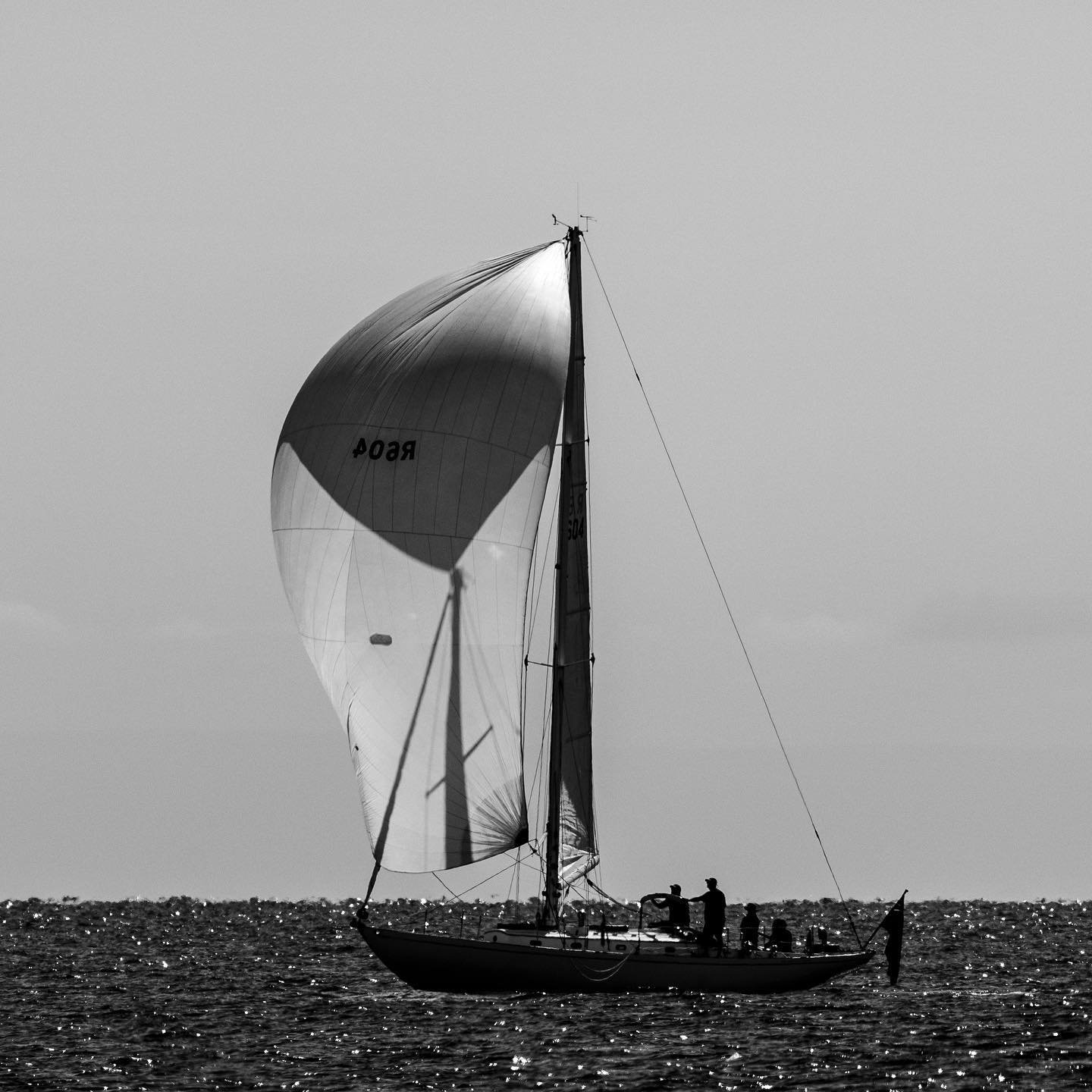 wooden boat festival regatta portarlington to geelong black and white.jpeg