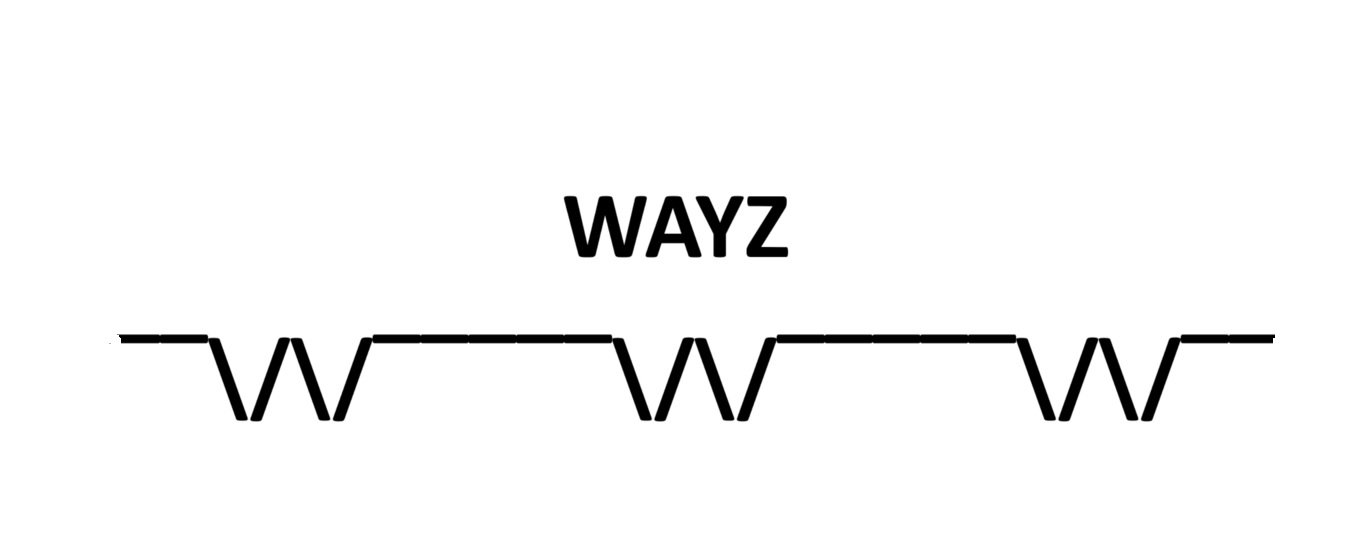 WAYZ