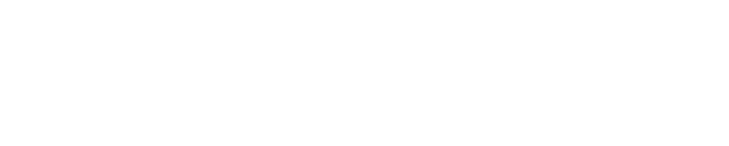 Humane Capital Solutions: Human Resource Consulting