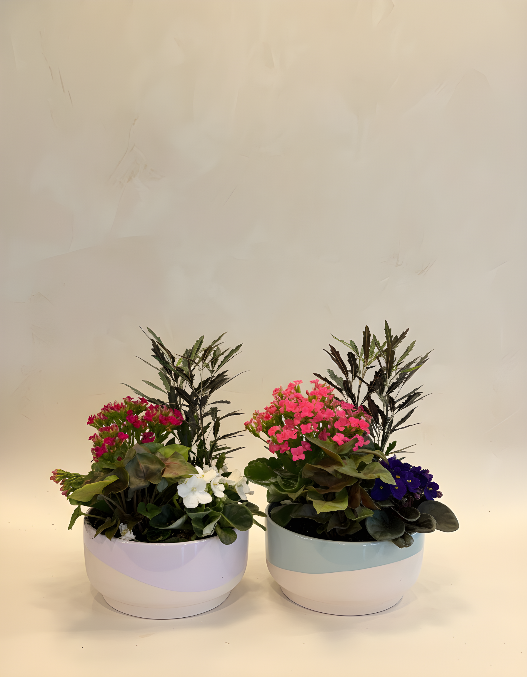 IMG_0100.png