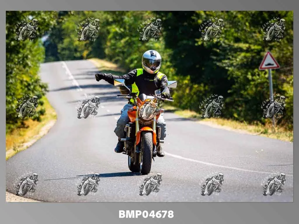 zhp08.09-184.jpg