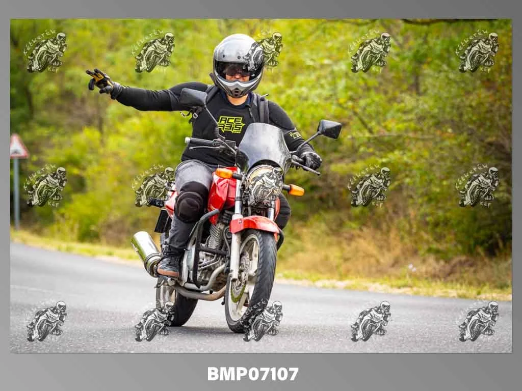 zhp09.13-244.jpg