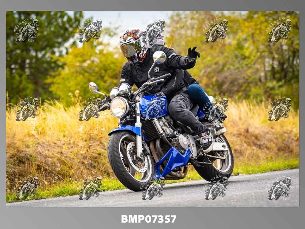 zhp09.13-456.jpg