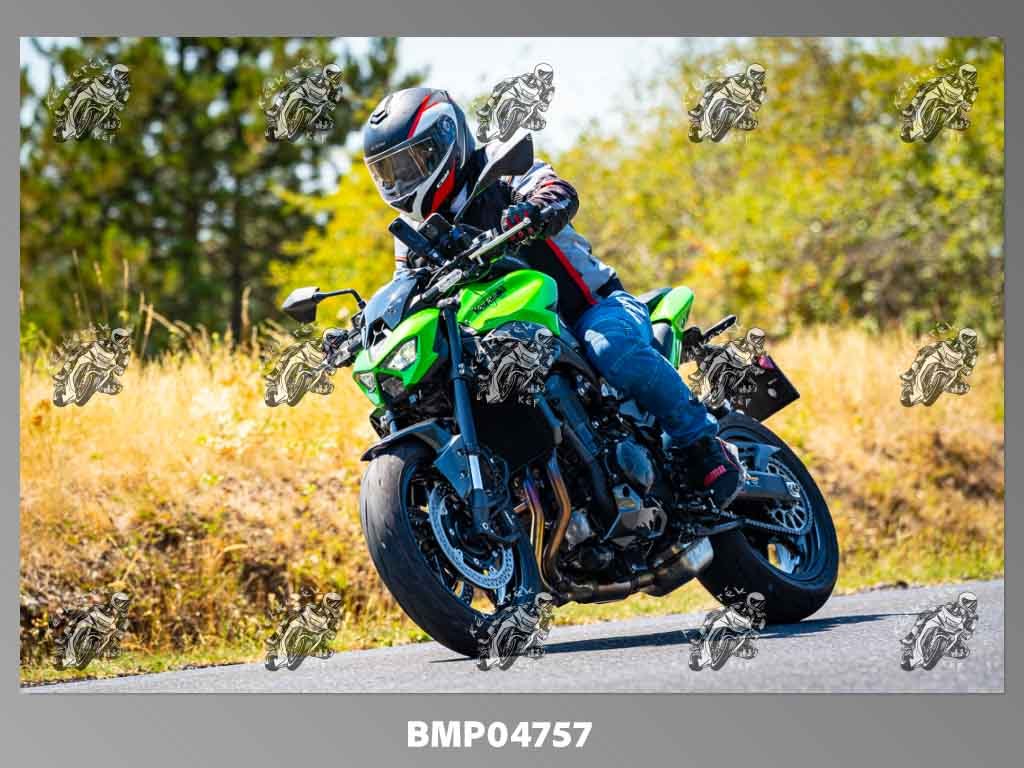 zhp08.09-260.jpg