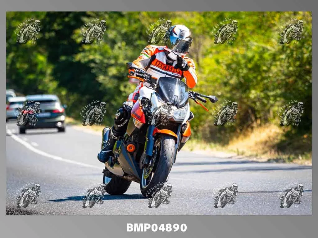 zhp08.09-393.jpg