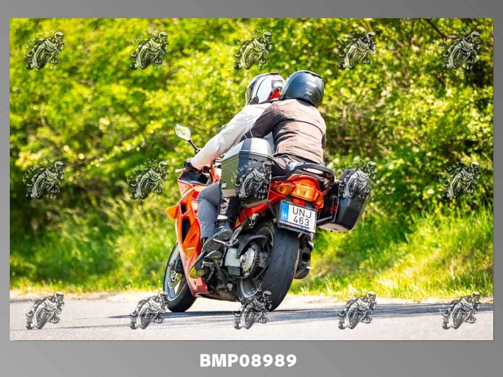zhp05.31-472.jpg