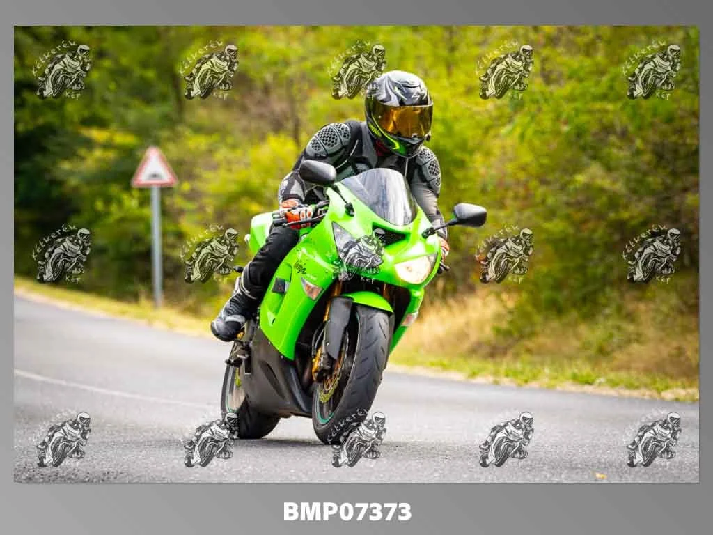 zhp09.13-471.jpg