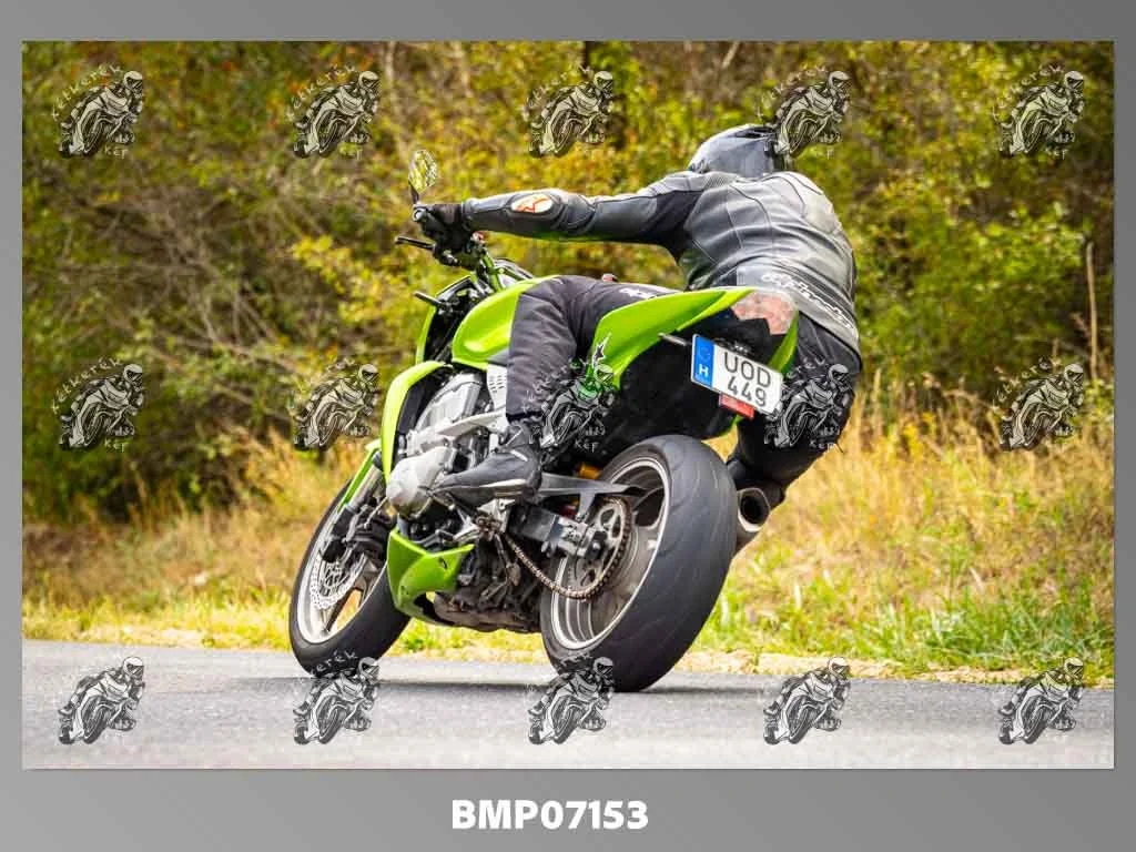 zhp09.13-287.jpg
