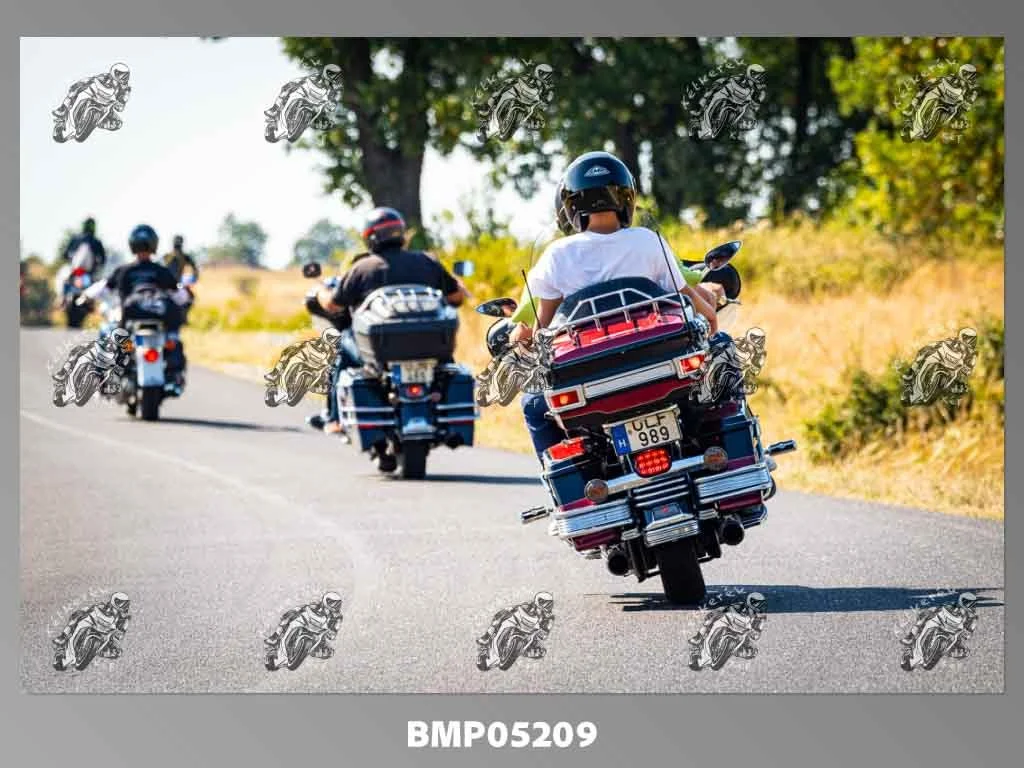 zhp08.09-690.jpg