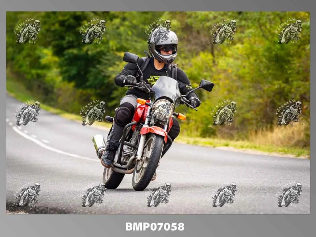 zhp09.13-206.jpg