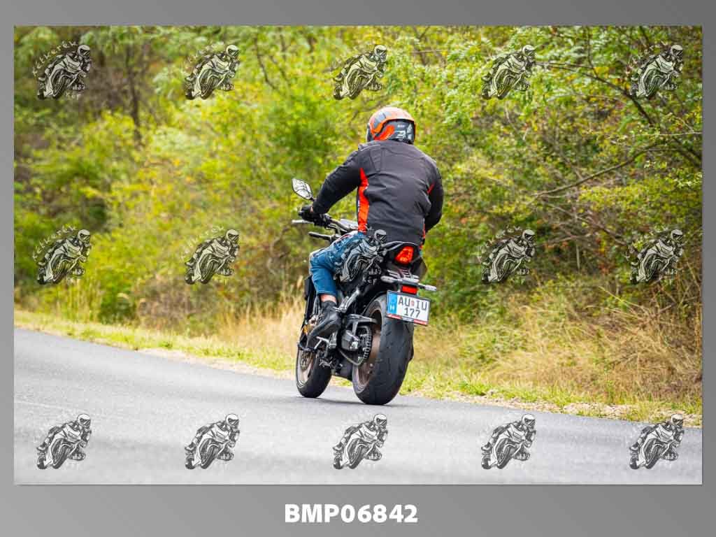 zhp09.13-017.jpg