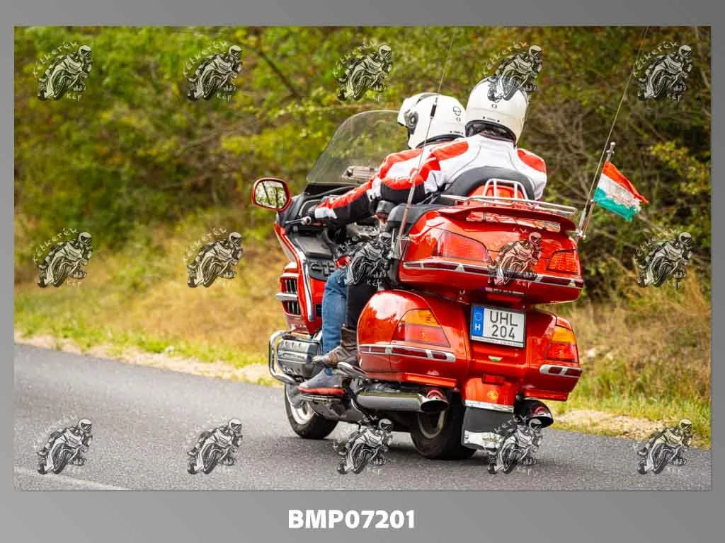 zhp09.13-331.jpg