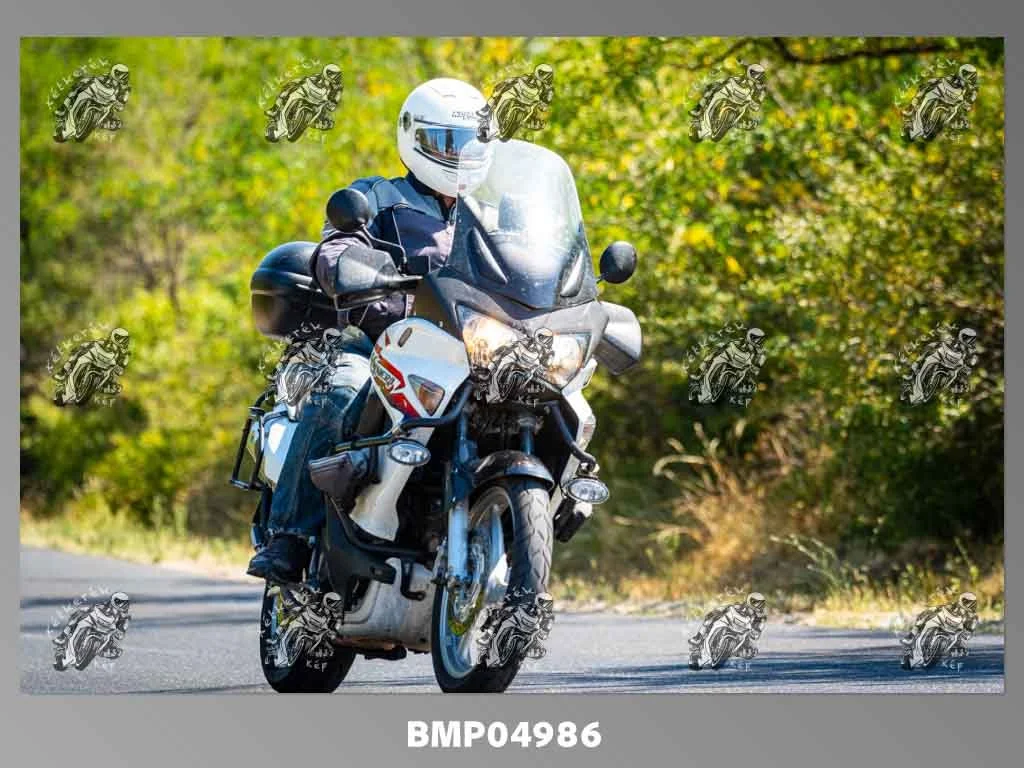 zhp08.09-481.jpg