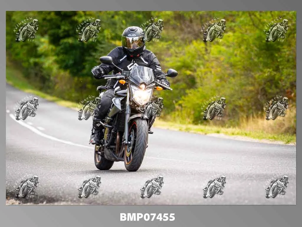 zhp09.13-550.jpg