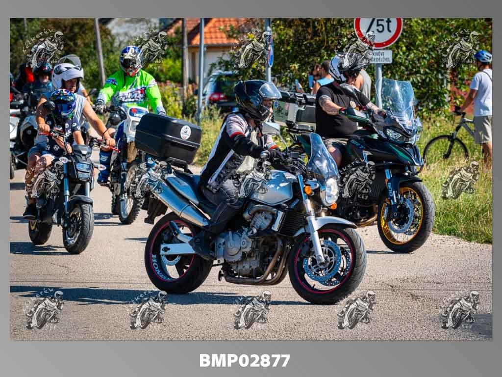 pg07.11-369.jpg