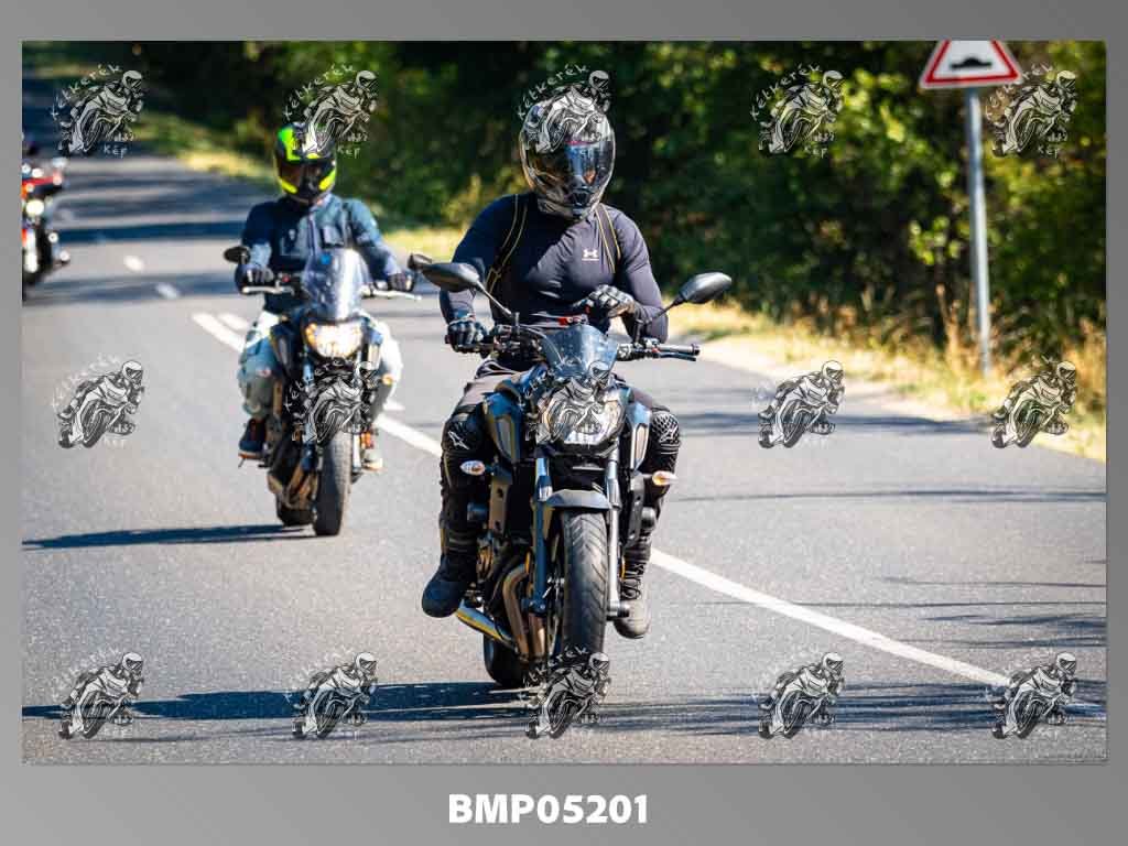 zhp08.09-683.jpg