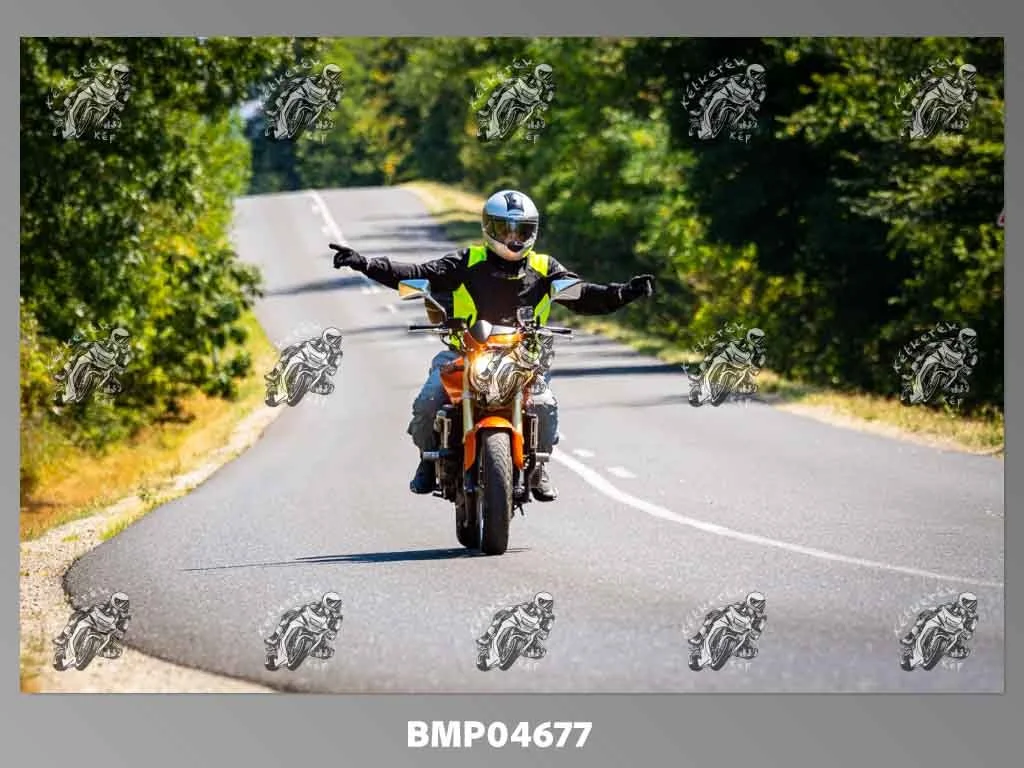 zhp08.09-183.jpg