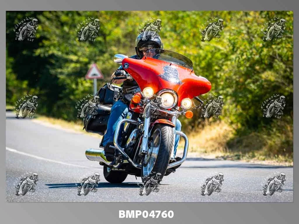 zhp08.09-263.jpg