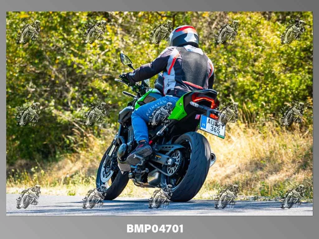 zhp08.09-206.jpg