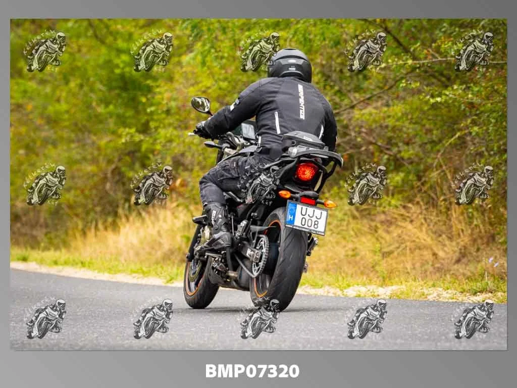zhp09.13-441.jpg